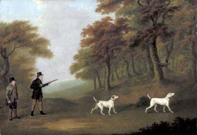 A King George IIIrd Late 18th Century English Fowling Musket By Smith