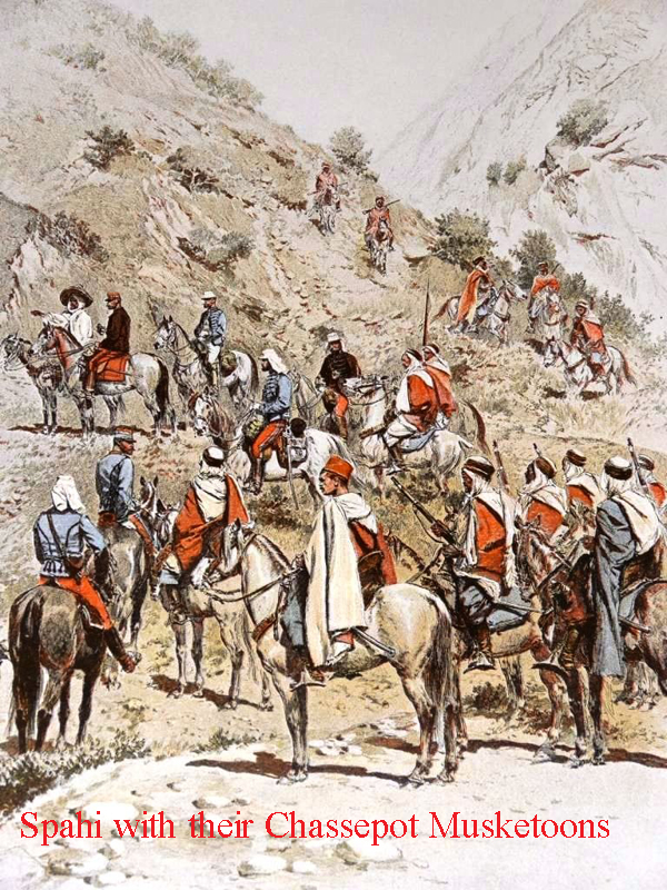 A Very Scarce French Chassepot Rifle Musketoon Modele 1866 Colonial Inlay