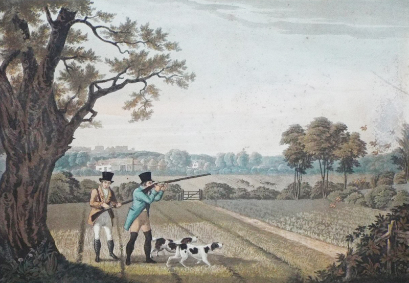 A Most Attractive Late King George IIIrd English Long Barrel Fowling Piece