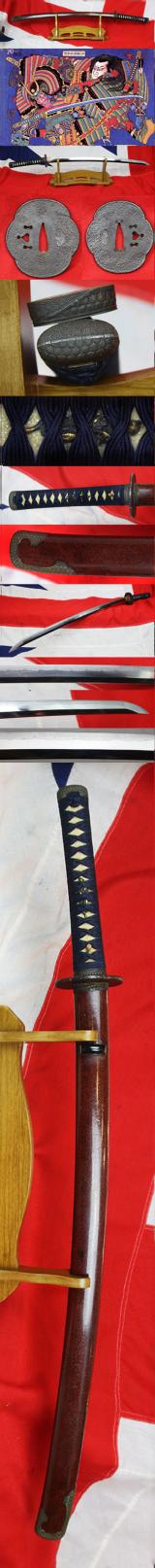 A Very Good & Beautiful Shinto Long Katana Signed Chikanobu. Very Good, Unique Matsushiro Sinano Sinchu & Silver Line Koshirae. Gold and Shakudo Dragon Clutching The Pearl Of Wisdom Menuki. Circa 1680.