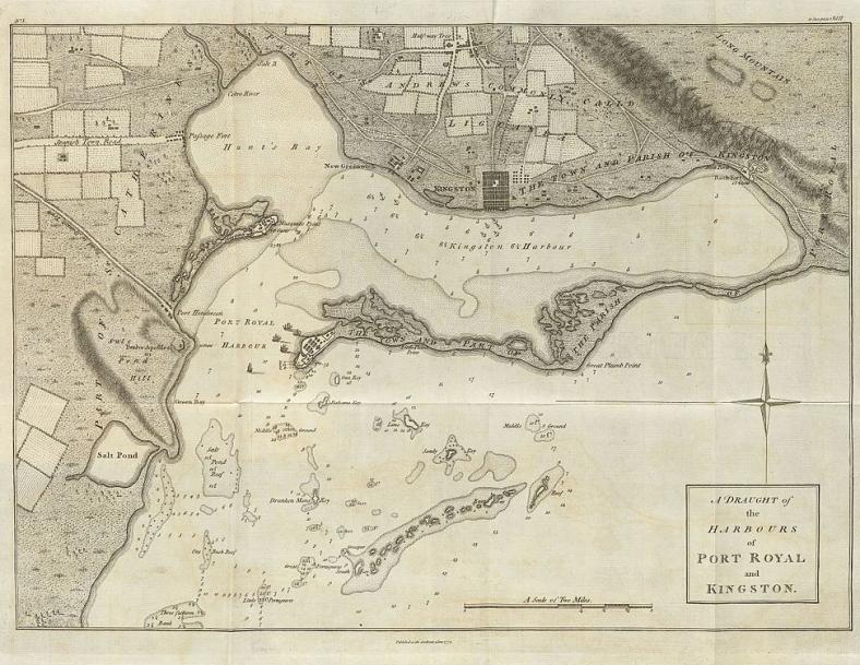 A Superb & Rare, Napoleonic Wars Period ‘Port Royal’, Jamaica, Caribbean Station Service, British Royal Naval Officer's Sword 1805. Admiral Horatio Nelson Period. By Mitchellson of Kingston Jamaica