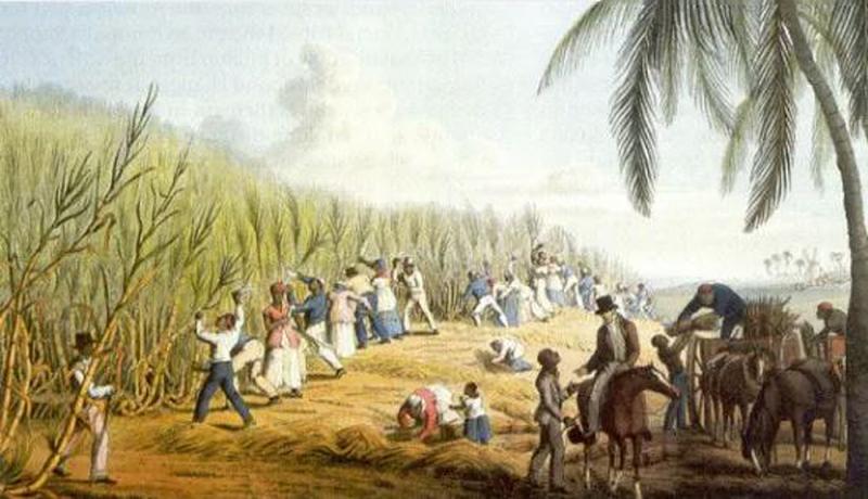 An Extraordinary Document, & Piece of Original & Highly Relevant History Today. A 'Particulars of Claim For Compensation' For The Freedom of 253 Slaves In Barbados For the President Of Barbados, John Rycroft Best & 556 Slaves Owned By John Higginson