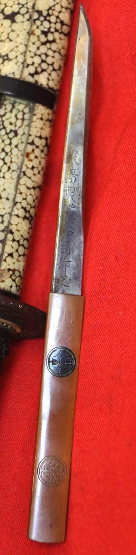 An Absolutely Superb, & Signed, Samurai’s Large Sunobi-Tanto or Wakazashi Late Koto to Early Shinto Period. Mutsu no Kami Daido School. Carved Horimono Blade With Bonji, of Fudō-myōō (不動明王), & Buddhist Ken Sword. Nabeshima Clan