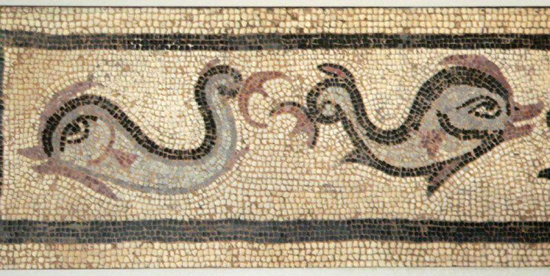 An Absolutely Beautiful Original 2nd Century Imperial Roman Officer or Noble's Carved Intaglio, Carnelian Gem Stone, Status Seal Ring, Depicting a Dolphin. Originally Worn in the Roman Empire's of Trajan to Commodus