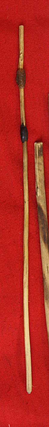 African Bushman’s Tribal Poison Arrows and Tree Branch Leather Capped Quiver & Poison Stick