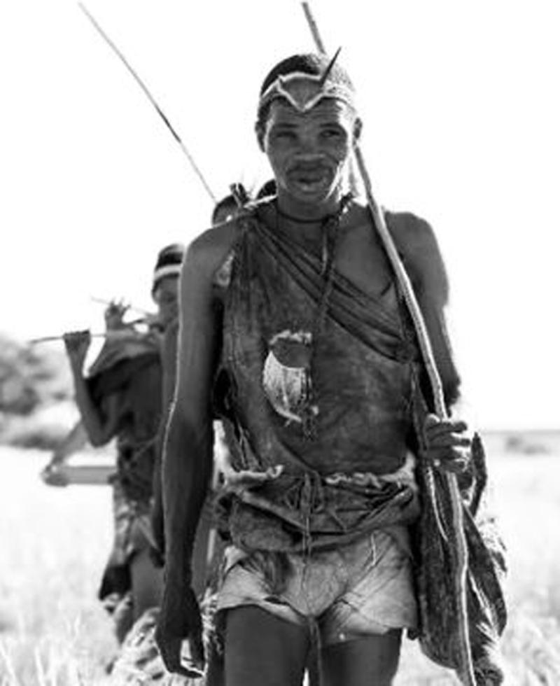 African Bushman’s Tribal Poison Arrows and Tree Branch Leather Capped Quiver & Poison Stick