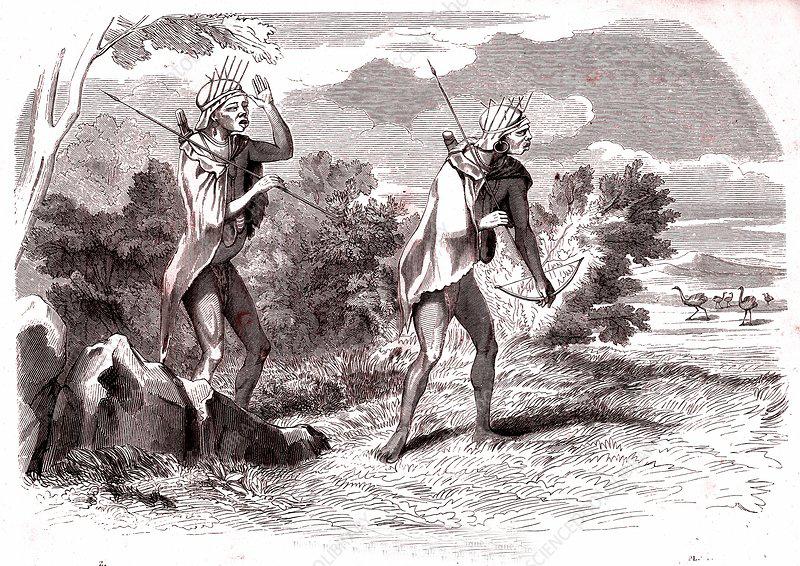 African Bushman’s Tribal Poison Arrows and Tree Branch Leather Capped Quiver & Poison Stick