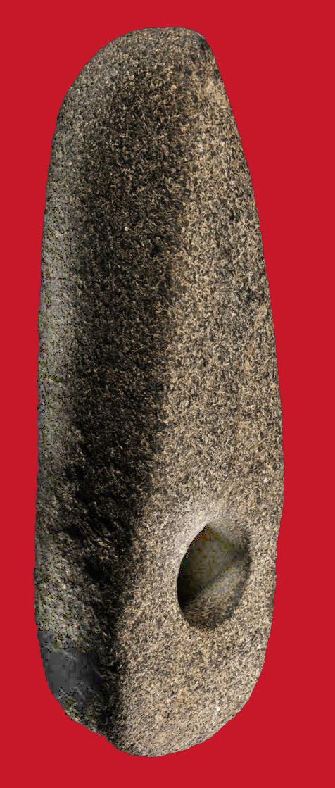 A Stunning & Rare Original Neolithic Battle Axe 4,000 to 5,000 Years OId. Recovered From Oxfordshire. With An Incredible Weighty Heft of Two Pounds. Potentially A PreHistoric Anglo-Norse Weapon