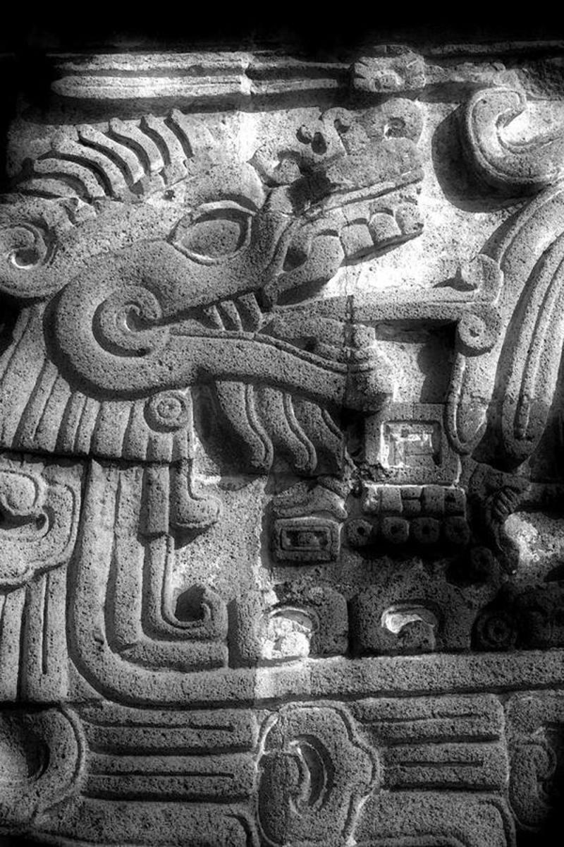 A Most Intriguing, Early, Wide Bladed Mayan or Aztec Form Sacrificial Knife, Beautifully Carved Head of Possibly Vucub Caquix or Quetzalcoatl The Wind Spouting God, Upon the Stag-Horn Hilt