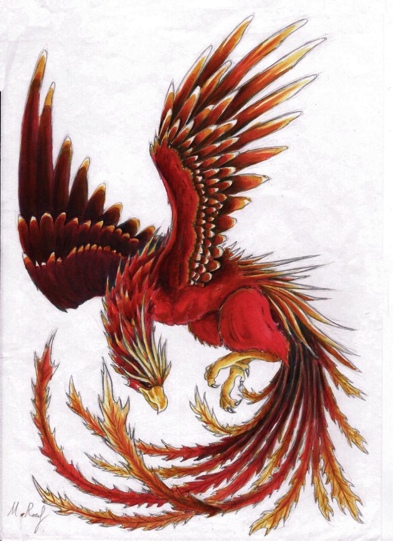 A Superb Roman 1900-2000 Year Old 'Status' Seal Ring, Intaglio, Stylized Engraved, with a Mythological Scene of The Pheonix In Flight. From The Time Of the Divine Augustus, The First Emperor of Rome