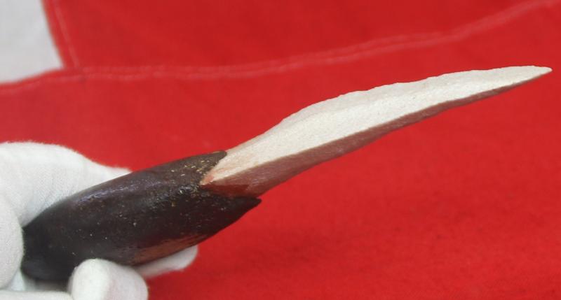 Excellent Pre-Contact Example of a Stone Leilira Knife from Central or Northern Australia. A First Nations' Cultural Object