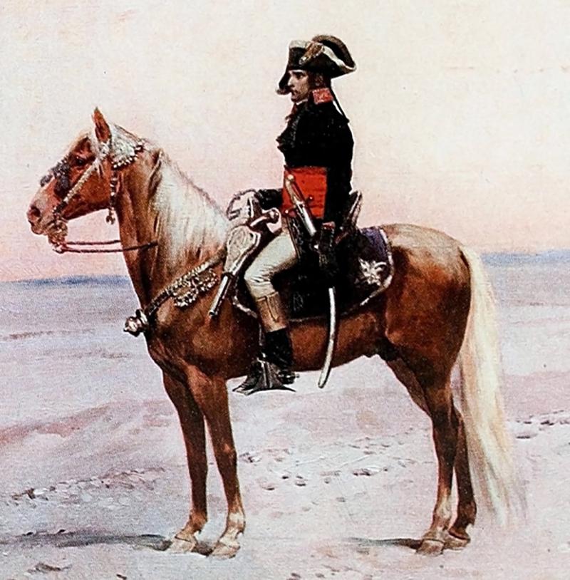 A Beautiful 18th to 19th Century Ottoman Shamshir. With Traditional Carved Horn Hilt