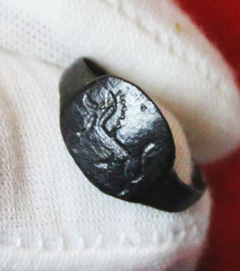 A Rare Original Roman Gladiatrix, {A Female Gladiator} Size Bronze Ring, Early Imperial Roman Period. Featuring A Coliseum Barbary Lion in a Combat Pose Around 1900 Years Old