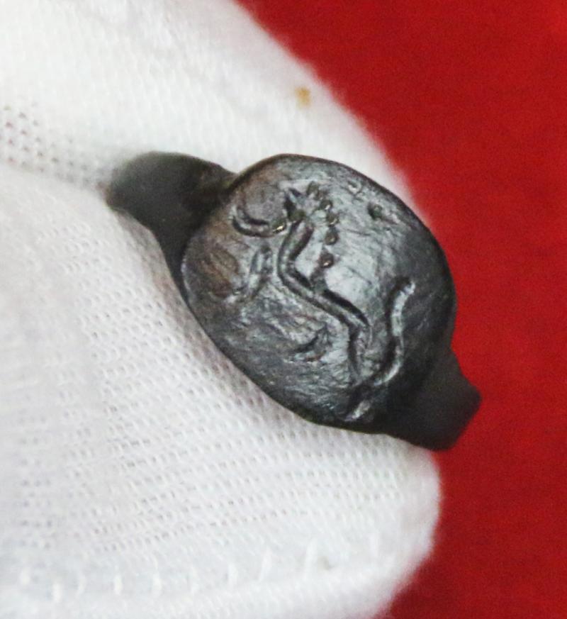 A Rare Original Roman Gladiatrix, {A Female Gladiator} Size Bronze Ring, Early Imperial Roman Period. Featuring A Coliseum Barbary Lion in a Combat Pose Around 1900 Years Old