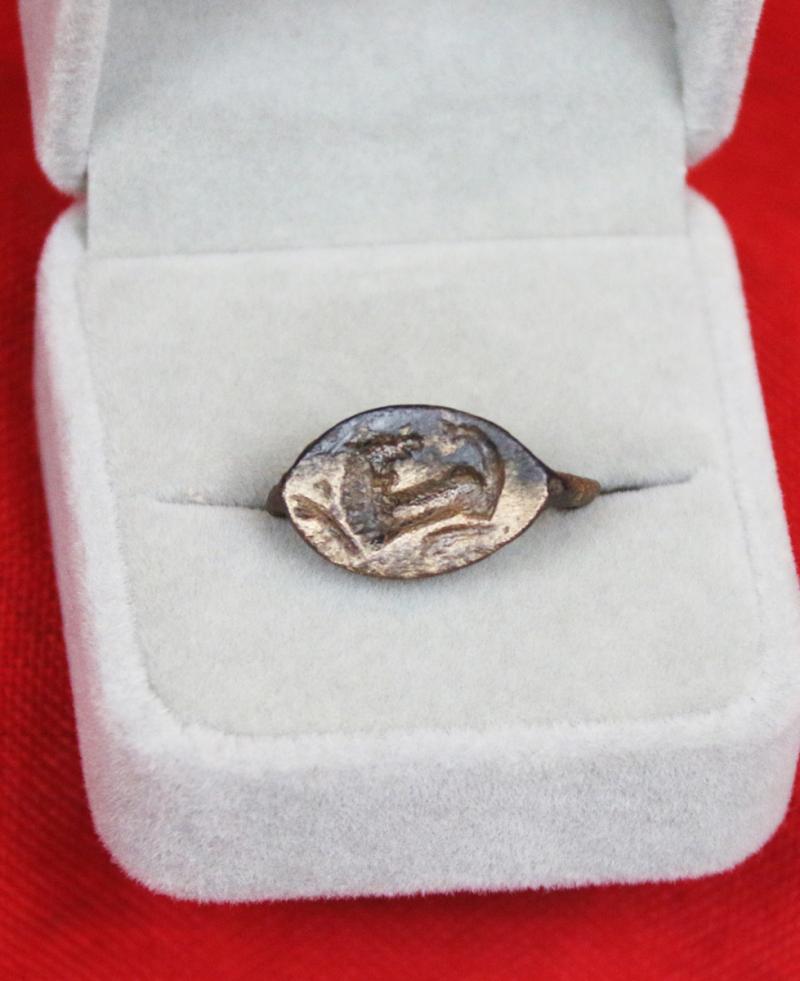 Ancient Roman Gladiator's Aes Corinthiacum Bronze Ring, Of A Colosseum Barbary Lion Late Old Republic Era To Early Empire Period. Over 2000 Years Old. Made & Used From the Reigns of Julius Caeser to Emperor Trajan