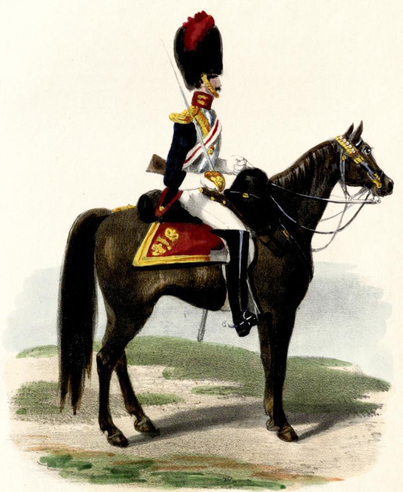 Original, Antique, Victorian Household Cavalry Armour Breastplate Cuirass of the LifeGuards, The Blues &The Royals. the Mounted Personal Bodyguard Regiments of the British Monarch, Part of The Household Division