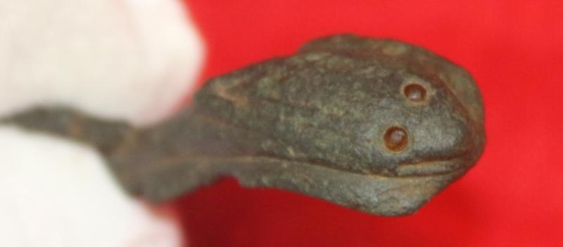 Roman-British Cobra Head Brooch, With Amber Glass Eyes. Combined With A Swan's Neck and Head Loop Ist - 2nd Century AD.1900 to 2000 Years Old