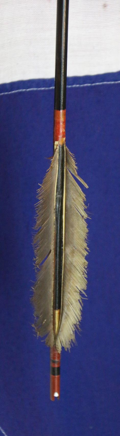 A Delightful & Beautiful Early to Mid Edo Period 1598-1863 Samurai War Arrow. A Tsubaki-ne, With A Haft of Yadake Bamboo & With Sea Eagle Flights. With A Beautifully Rare Stunningly Polished Tamahagane Steel Head
