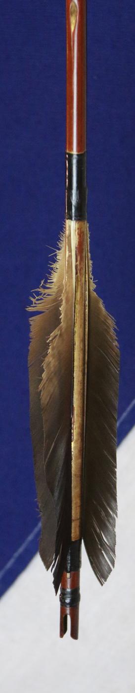 A Delightful & Beautiful Early to Mid Edo Period 1598-1863 Samurai War Arrow. A Tagari-Ya Of Yadake Bamboo, With Sea Eagle Flights and Traditional Tamagahane Steel Head In Incredibly Rare Stunningly Beautiful Polish