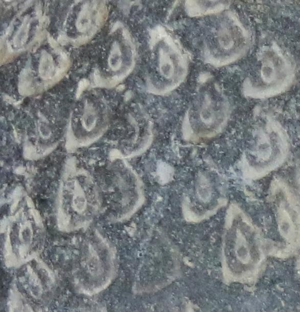 One of The Rarest We Have Ever Seen, An Early Crusades Period 10th Century, Byzantine, Ceramic Greek Fire 'Grenade' Superbly Decorated With Incised Individual Flames & A Moulded 'Ball of Fire' Decor Spout Surround. Around 1,100 Years Old