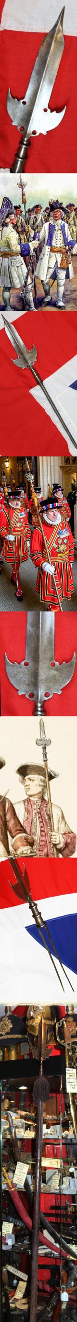A Very Fine 17th Century Spontoon. Central Double Edge Blade With Side Wings. Used For Over 140 Years in Military Service Including From the English Stuart to Early Hanoverian Reigns, The French-Indian War & Revolutionary War In The Americas