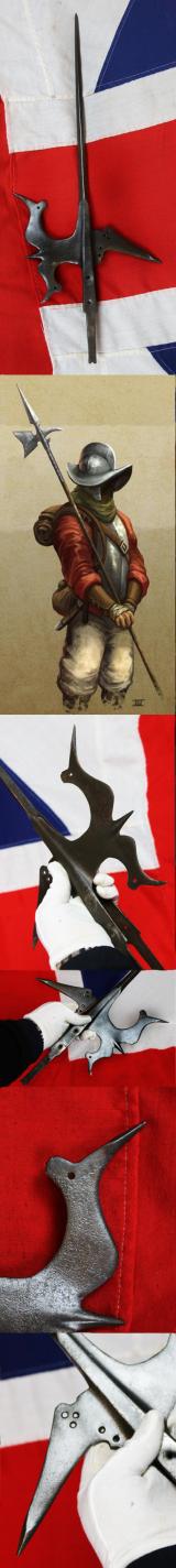 A Superb 16th Century Tudor Era Gothic Renaissance Halberd, Queen Elizabeth Ist Period. Traditional Iron Head With Tall Central Spike With A Twin Bird's-Head Axe Blade & Sharp Flat Hook Counter Blade. With Original 7ft Studded Haft