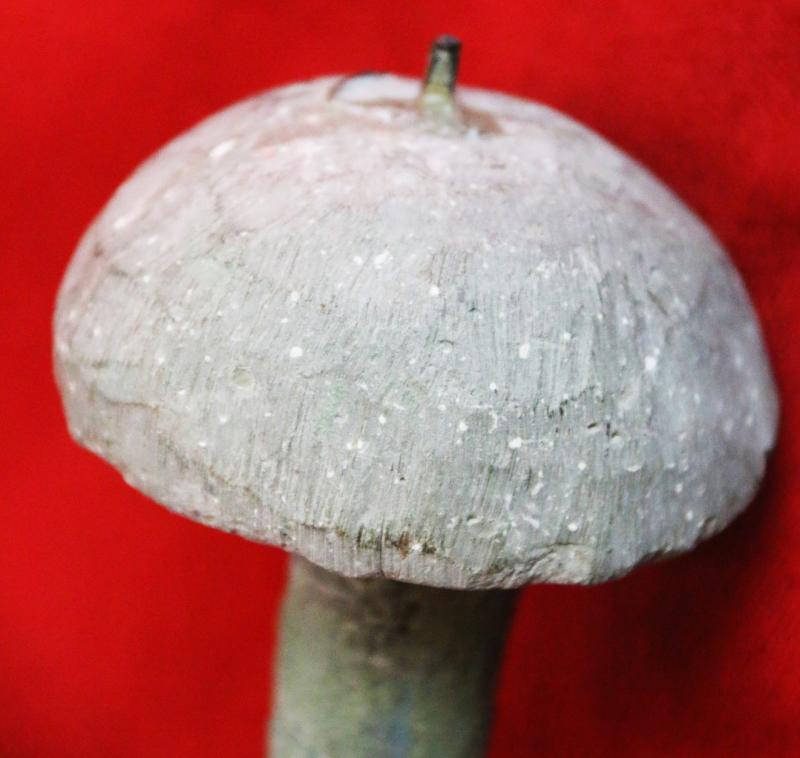 A Simply Exquisite Original Bronze Age Short Sword Used From The Trojan Wars To The Greco-Persian Wars Era. The Trojan War Was Waged Against the City of Troy by the Achaeans (Greeks) After Paris of Troy Took Helen From Her Husband Menelaus, King of Sparta