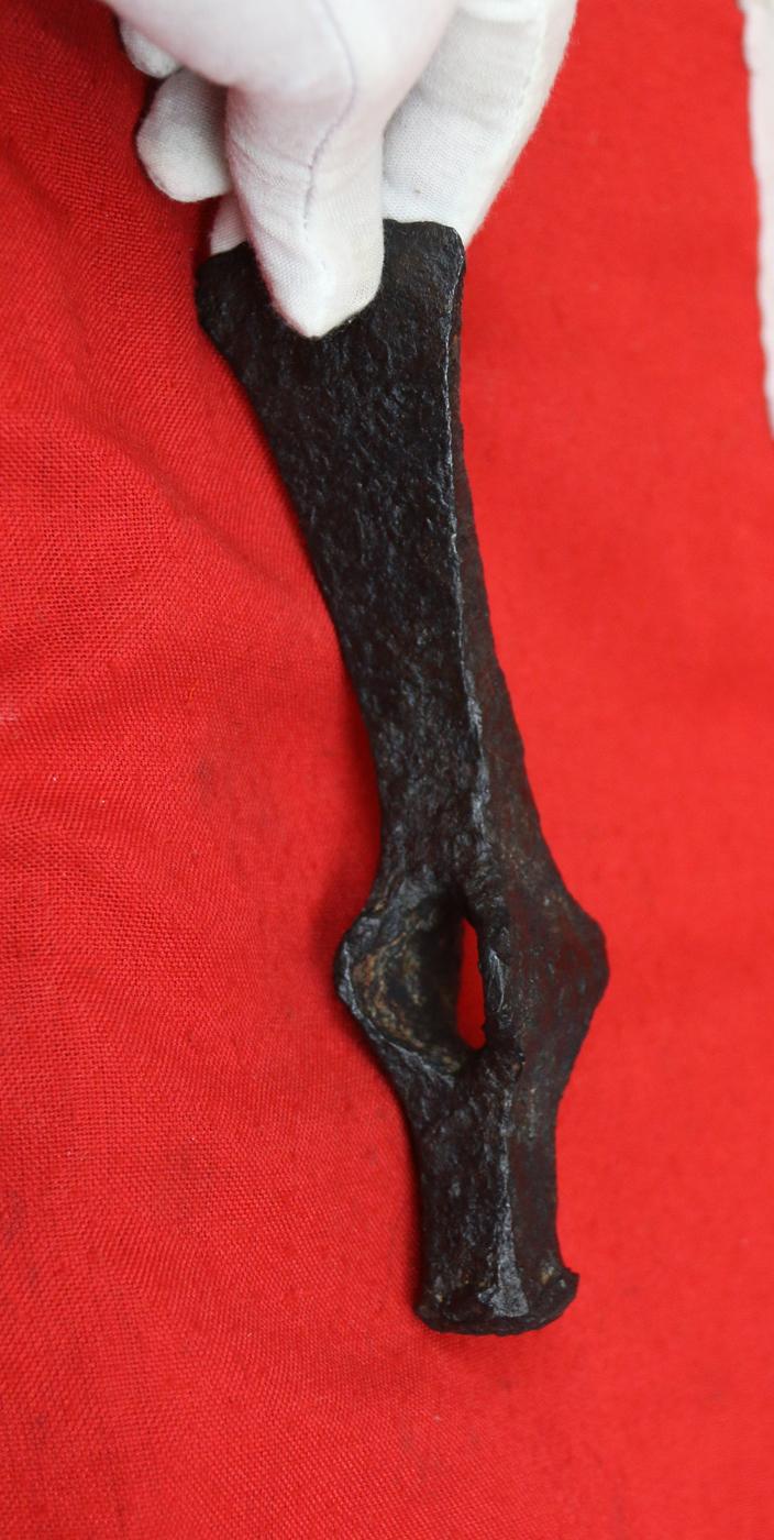 A Rare, Original, Ancient Viking Wrought Iron Hammer Adze For Viking Long Boat & Roundhouse Construction Found Near Camphill, North Yorkshire, In The 19th Century, Circa 1870's. Around 1100 to 1200 Years Old