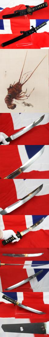 A Phenomenally Inexpensive & Most Attractive, Edo Style Samurai Showa Period O-Tanto With Unokubi-Zukuri & Hi Blade, & An Original, Antique, Edo Period Tsuka With Original Tsukaito, Fuchi Kashira of Zarigani & Menuki, Over Samegawa {Giant Ray Skin}